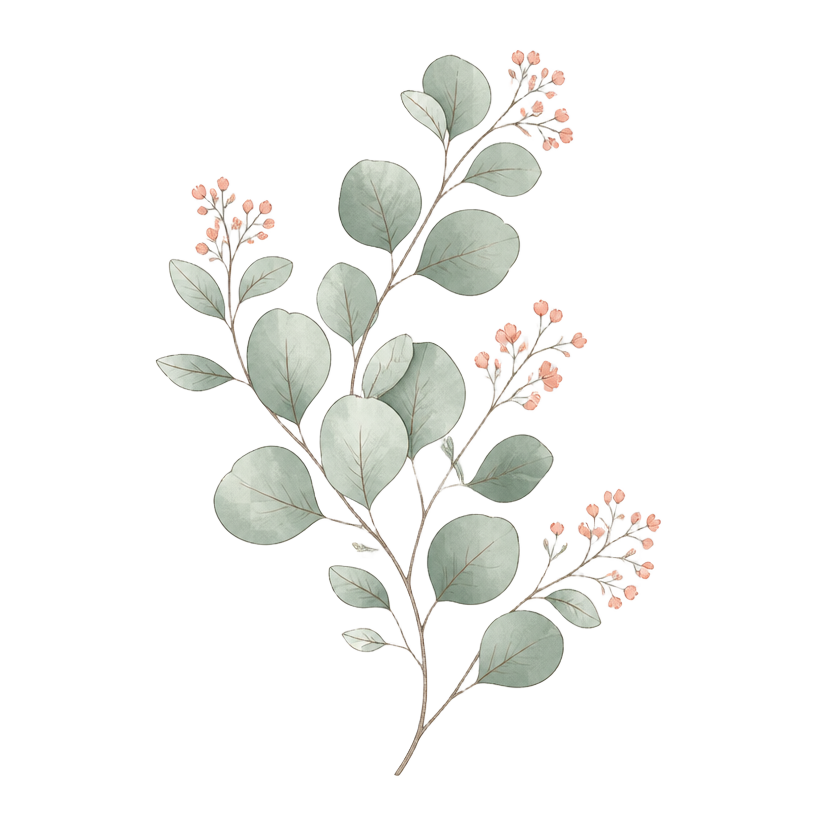 Ilustración decorativa de eucalipto